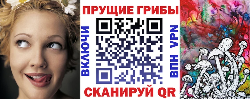 Купить закладки  Баксан  Псилоцибиновые грибы мухоморы 